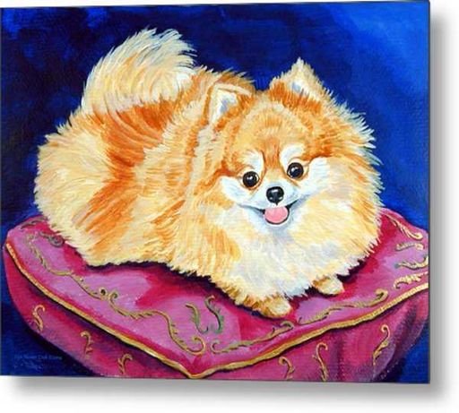 Шпиц померанский Art