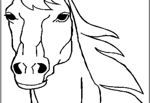 Голова лошади раскраска