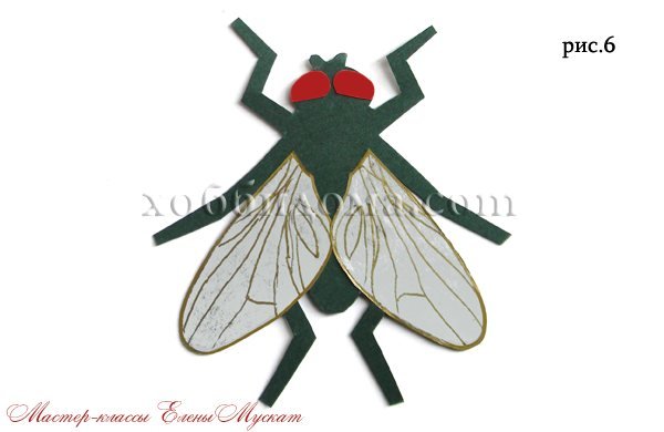 Крылья мухи Цокотухи