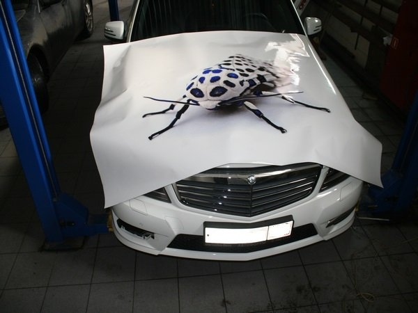 Винилы на авто