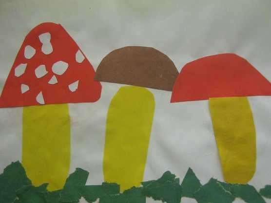 Аппликация на Лесной полянке выросли грибы в старшей группе