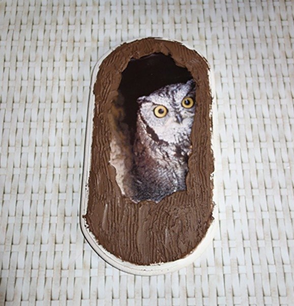 Сова в дупле поделка