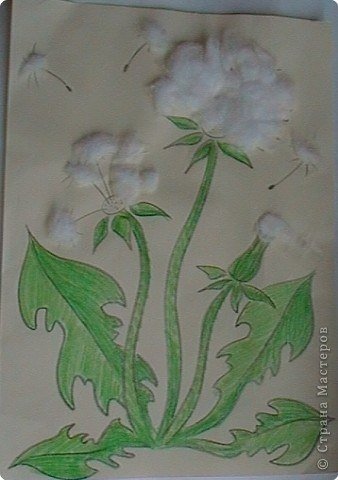 Поделка одуванчик с ватой для детей