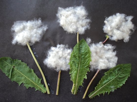 Цветы из ваты