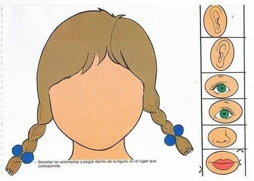 Человек части тела задания для дошкольников