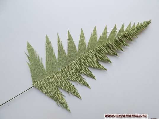 Папоротник из бумаги