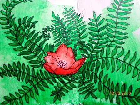 Цветок папоротника рисунок