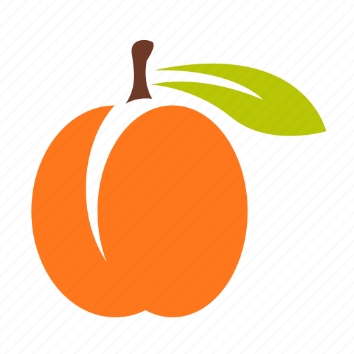 Абрикос вектор