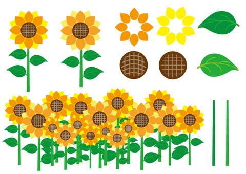 Аппликация подсолнух в подготовительной группе