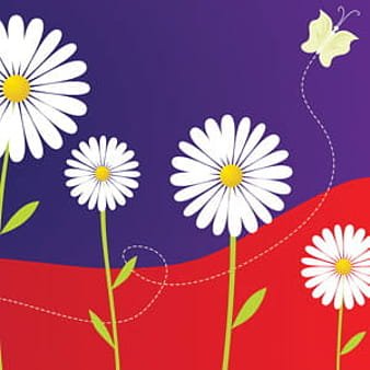 Ромашковое поле рисунок