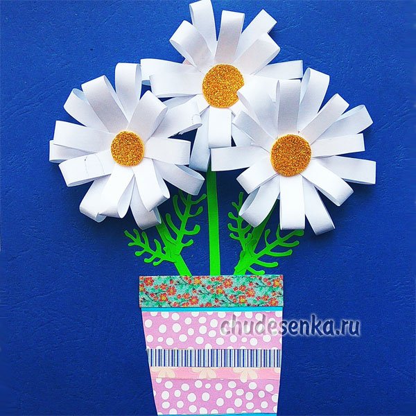 С днем учителя ромашки