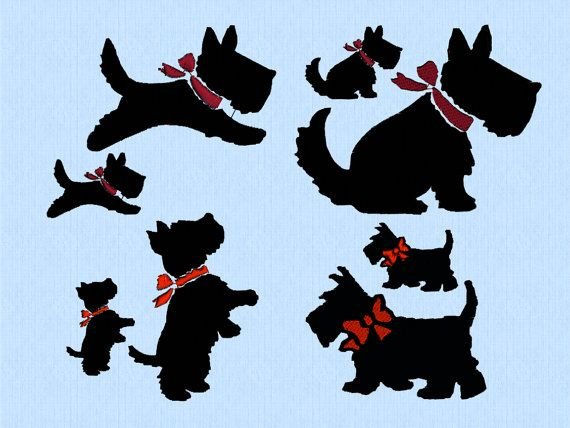 Трафарет скотч терьера