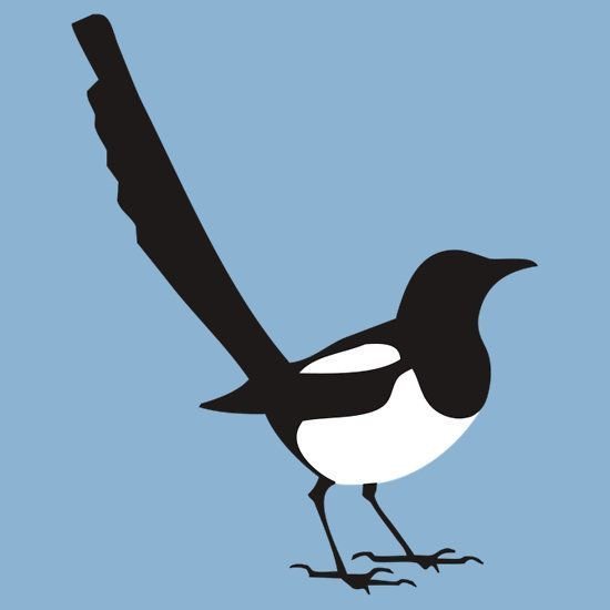 Сорока рисунок для детей