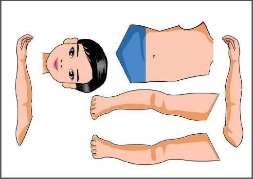 Карточки с изображением частей тела