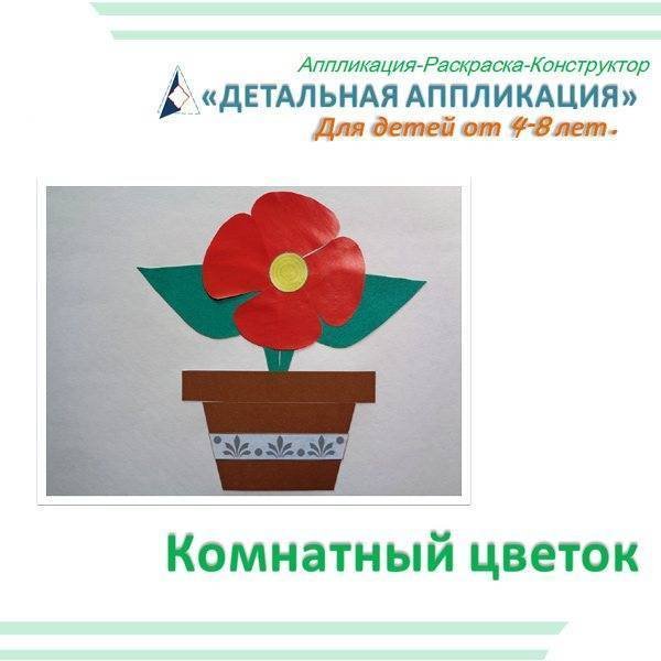 Аппликация комнатные растения старшая группа