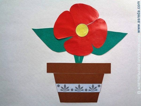 Аппликация комнатные растения в подготовительной группе