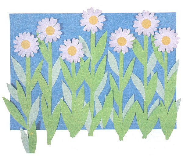 Аппликация полевые цветы в старшей группе