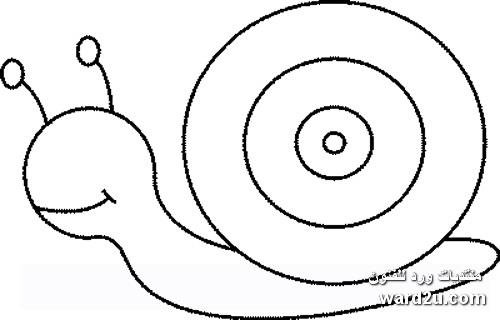 Аппликации улитка объемные (42 фото)