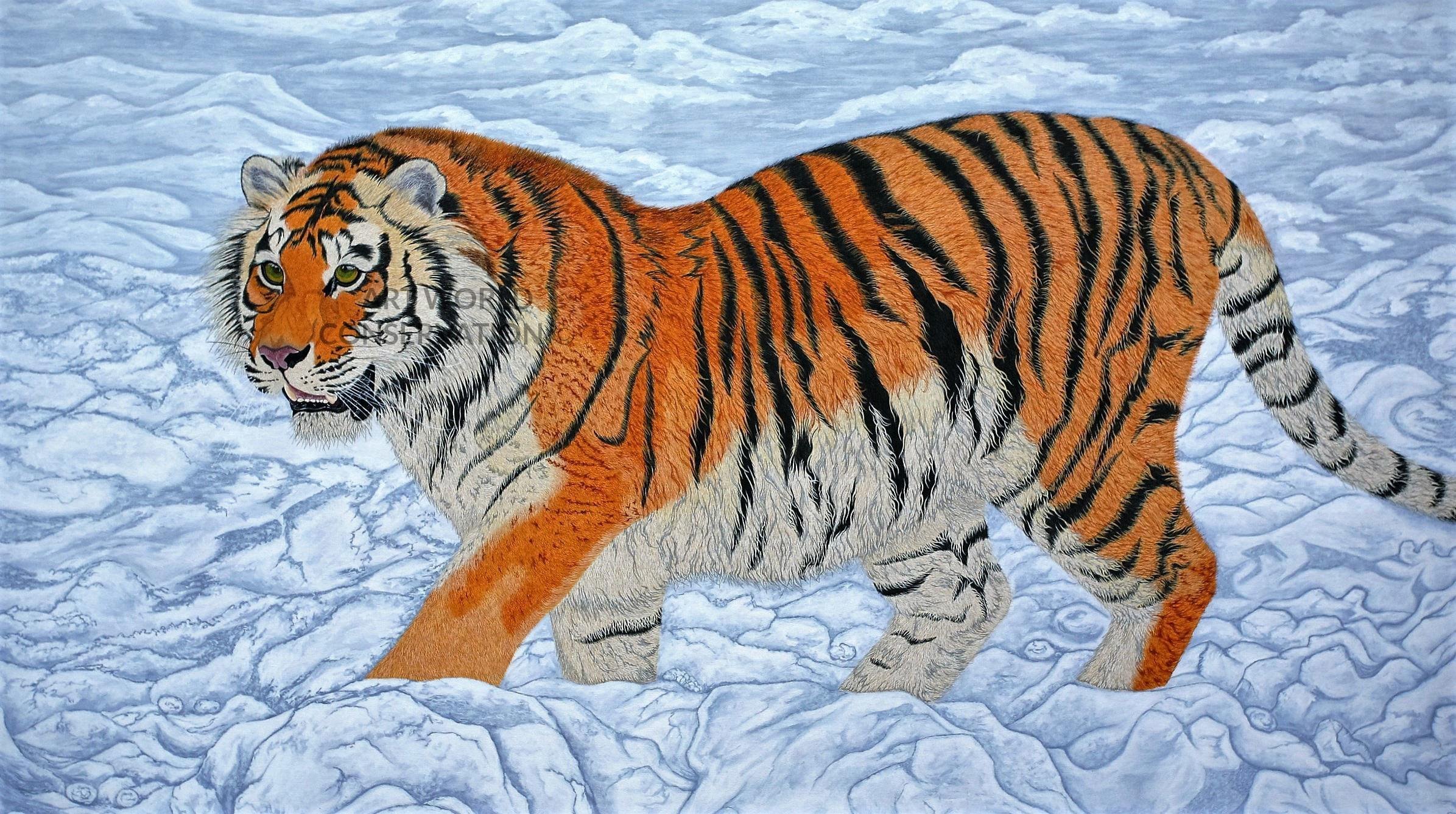Амурский тигр. Уссурийская Тайга Амурский тигр. Тигр рисунок. Рисунок Амурского тигра.