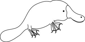 Раскраска Утконос австралийский
