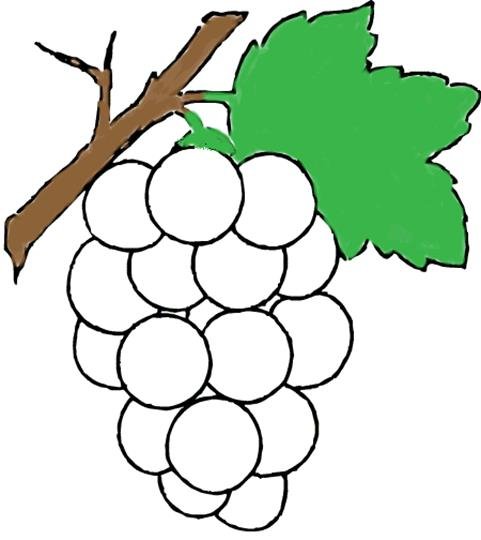 Шаблон винограда для аппликации