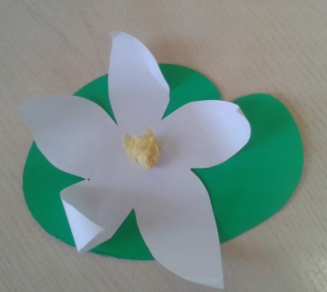 Аппликация кувшинка