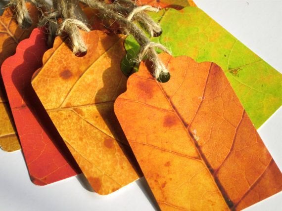 Ламинированные осенние листья