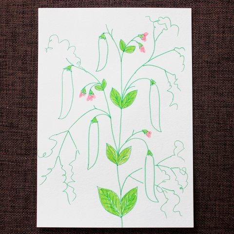 Аппликация зеленый горошек