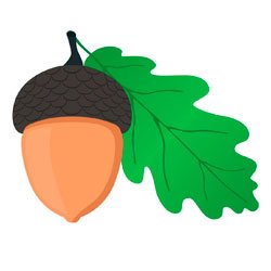 Желудь лист дуб для дошкольников