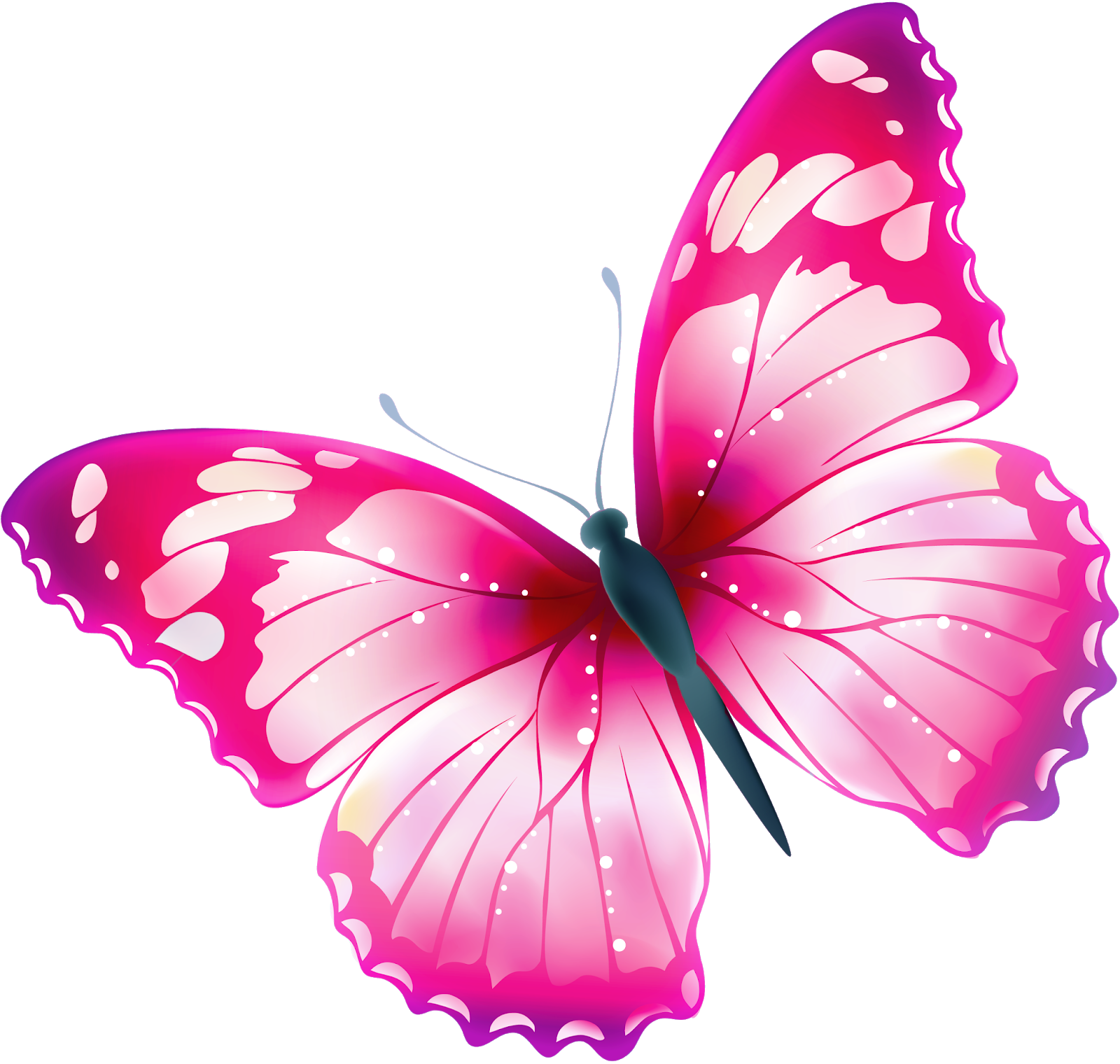 Бабочка скопировать. Розовые бабочки. Бабочки на белом фоне. Бабочка рисунок.