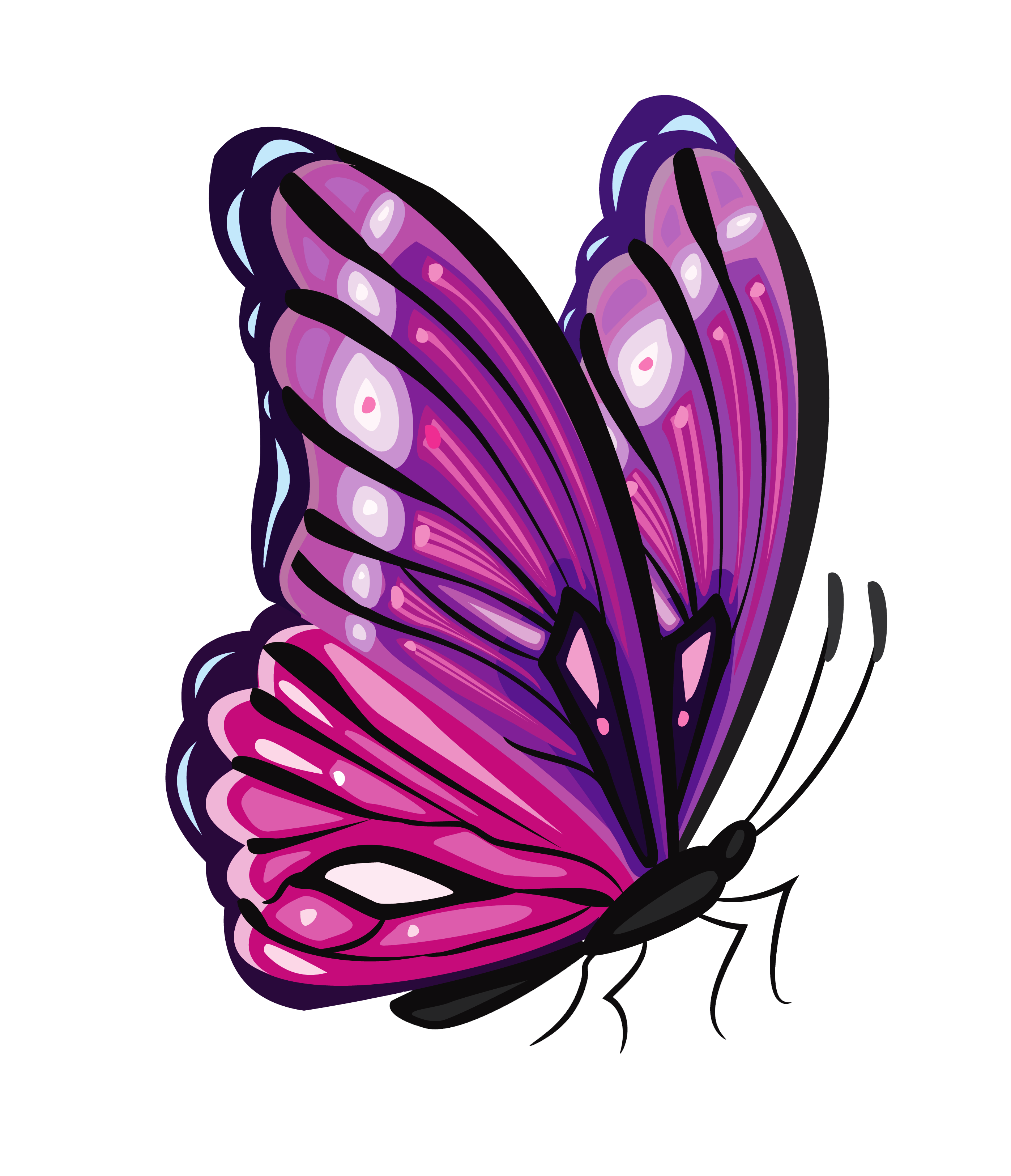 Прозрачном фоне формата png. Бабочка рисунок. Бабочка мультяшная на прозрачном фоне. Бабочка фиолетовая. Бабочки на просроченном фоне.