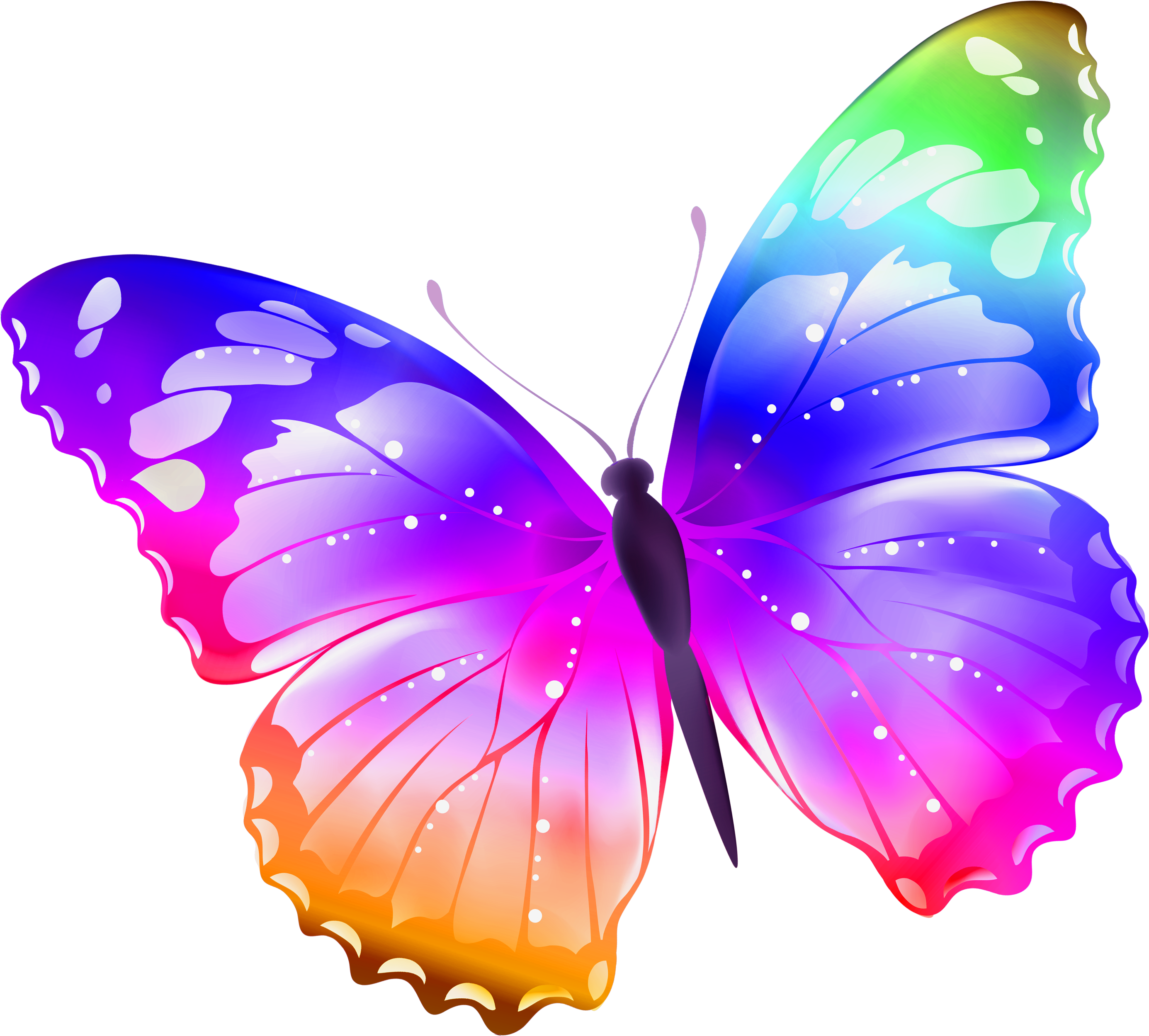 Клипарты пнг на прозрачном фоне. Разноцветные бабочки. Бабачкина прозрачном фоне. Бабочки на белом фоне. Бабочка рисунок.