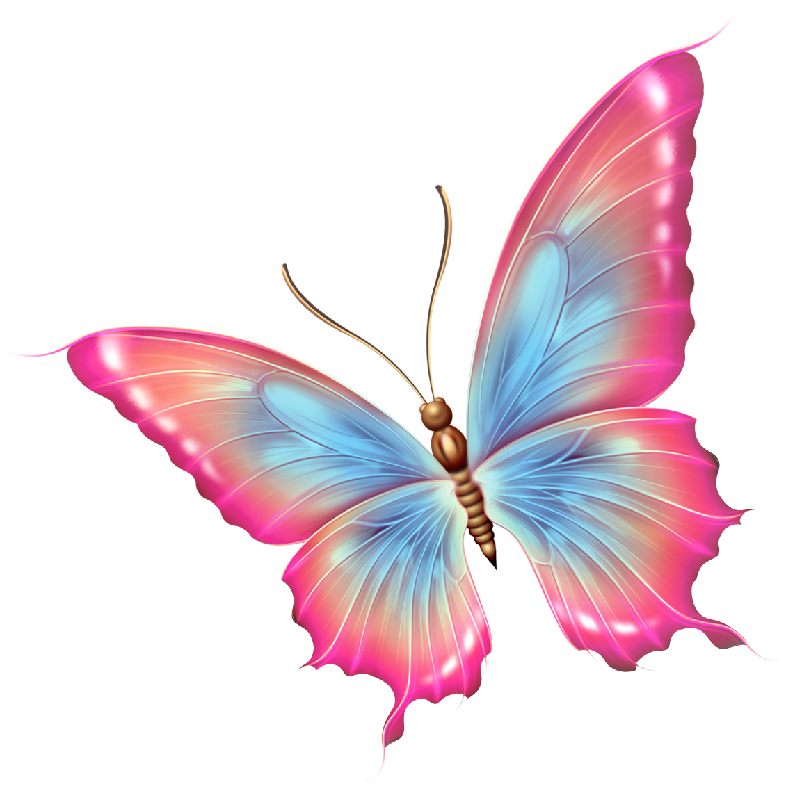 Прозрачная бабочка пнг. Розовые бабочки. Бабочка рисунок. ФО О бабочки прозрачной.