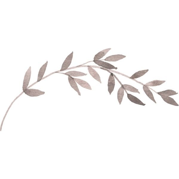 Наклейки веточки