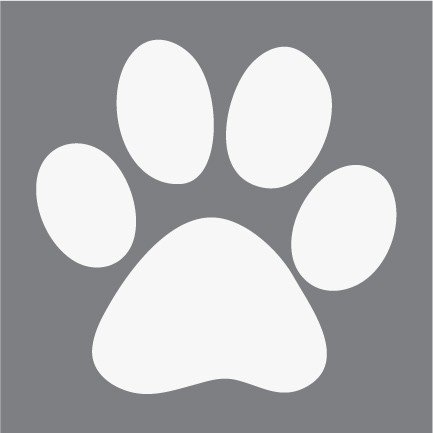 Кошачьи следы белые