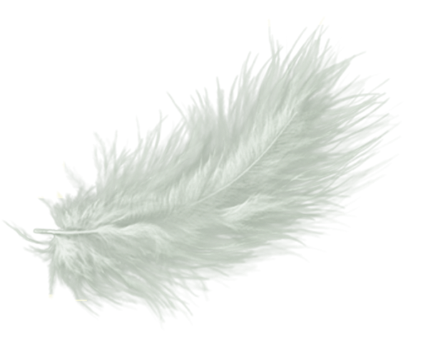 Пушистое перо