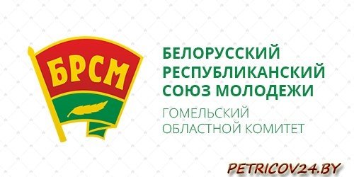 Значок белорусский Союз молодежи