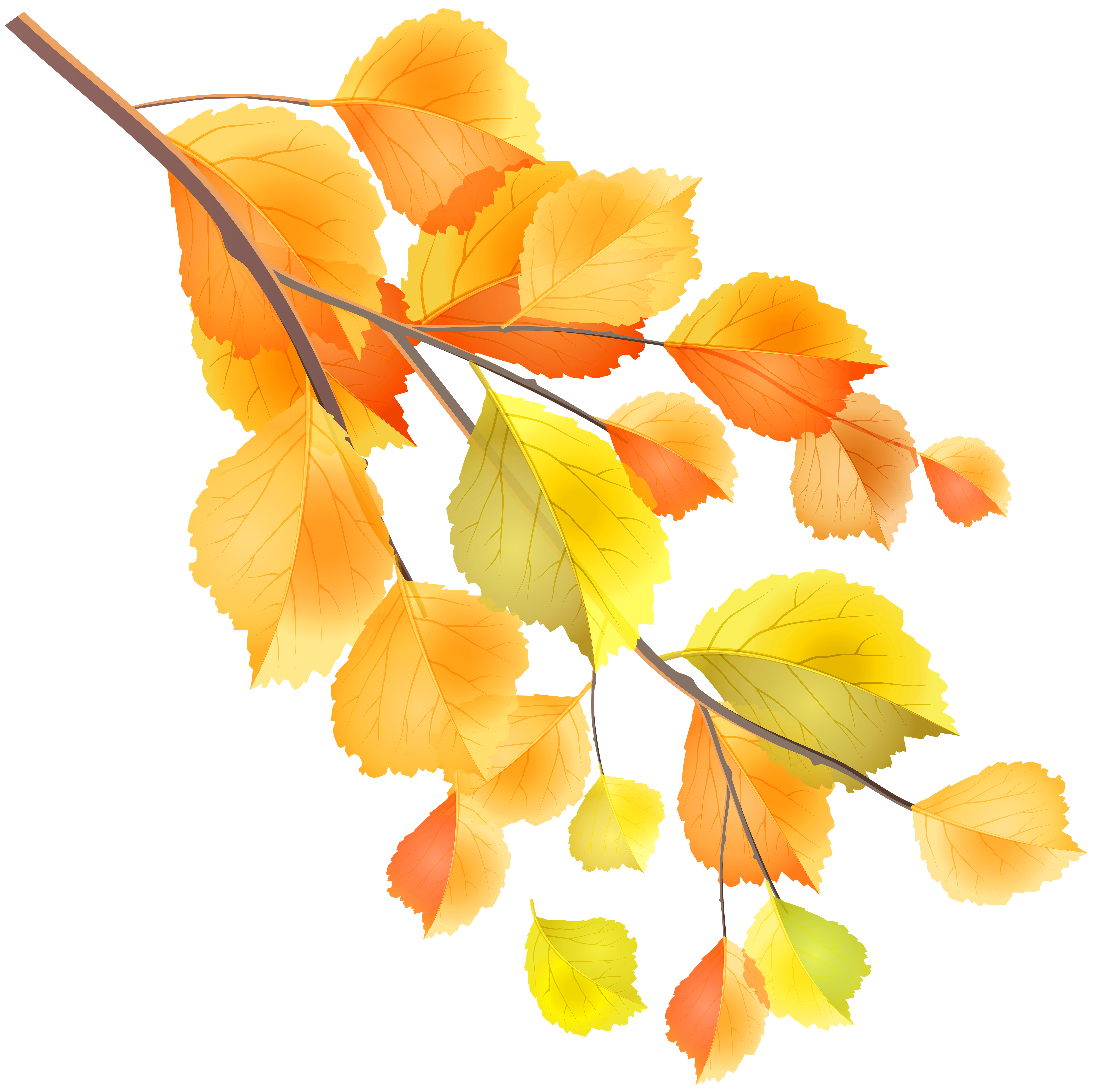 Ветка осенних листьев. Осенняя ветка. Осенние листья. Ветка с желтыми листьями. Ветка осеннего дерева.