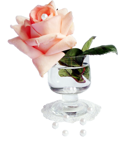 Роза цветок в стакане