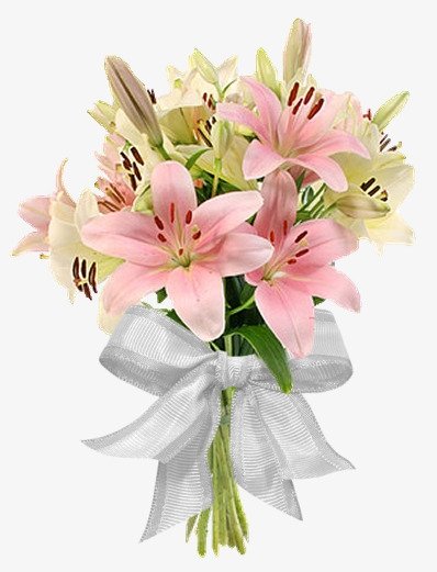 Букет лилий на белом фоне