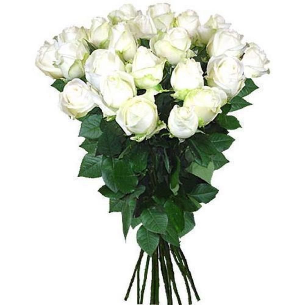Сон белые розы букет. 15 Белых роз Аваланч 40см. Букет белых роз 25 штук. 25 Роз 80 см белые Аваланж. Красивый белый букет.
