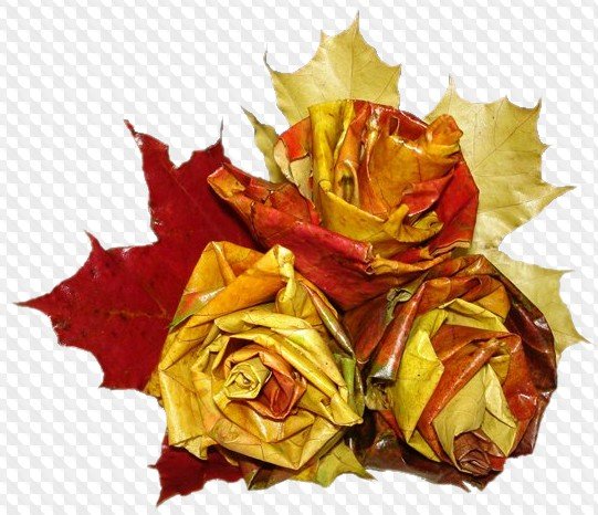 Букет из листьев