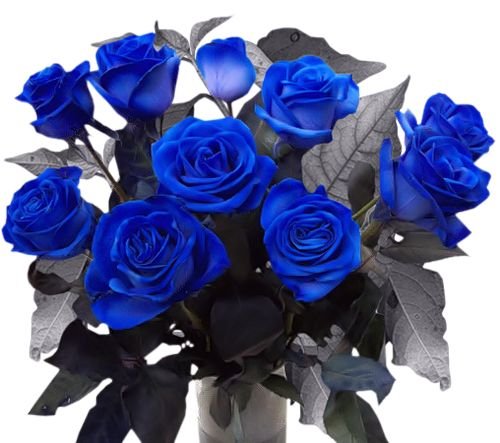 Букет синих цветов на прозрачном фоне