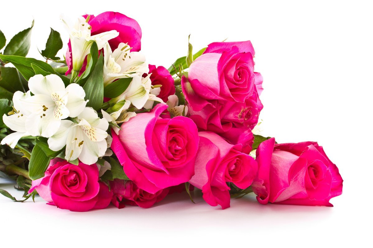 Букет цветов для поздравления. Красивый букет. Красивый букет роз. Шикарные цветы. Красивый букет на белом фоне.