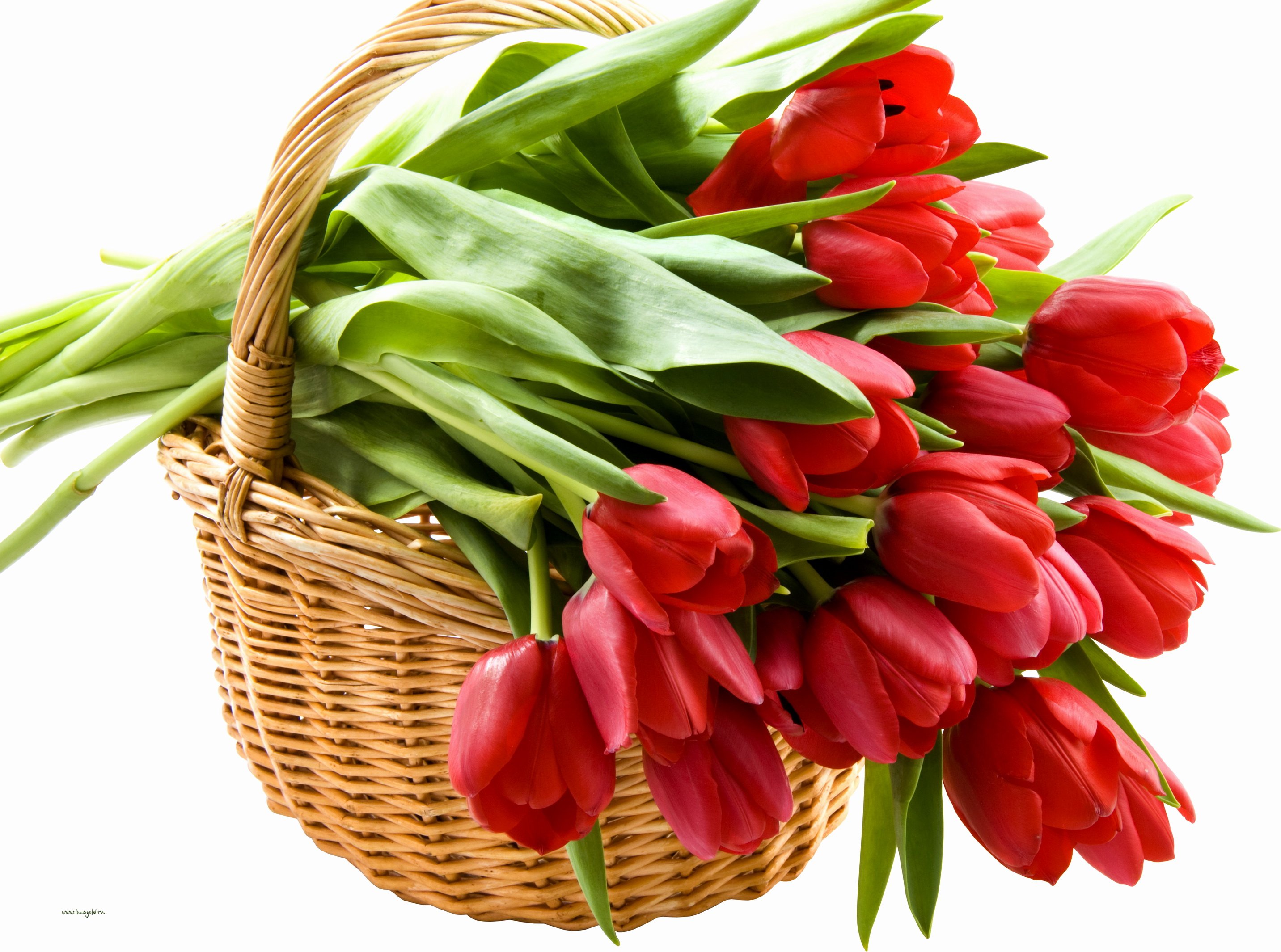 Открытка на 8 красивые букеты. Цветы тюльпаны. С днём рождения тюльпаны.