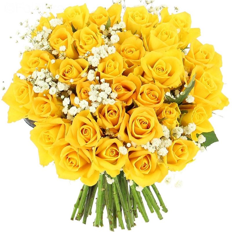 Огромный букет желтых. Желтые розы. Шикарный букет желтых роз. Бело желтый букет.