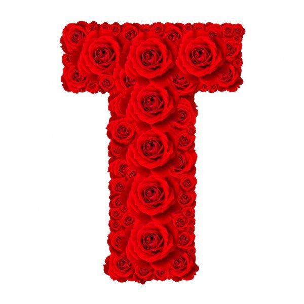 Красная буква к из роз