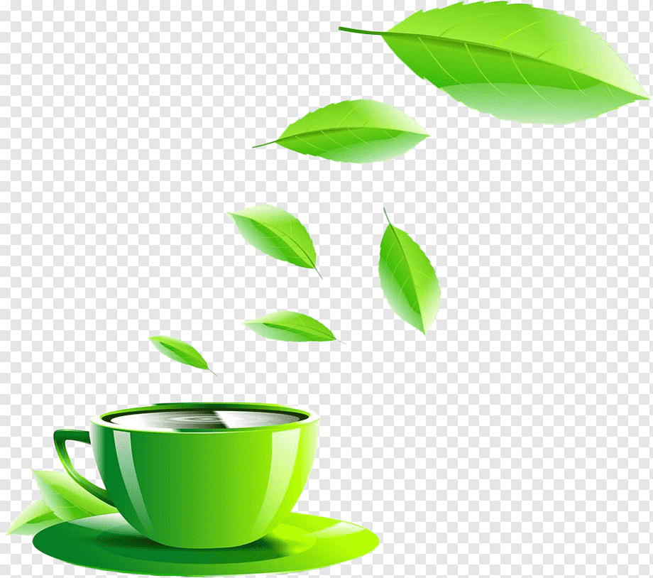 Чайная листва. Чайный лист. Листики чая. Зеленый чай. Зеленый чай листья.