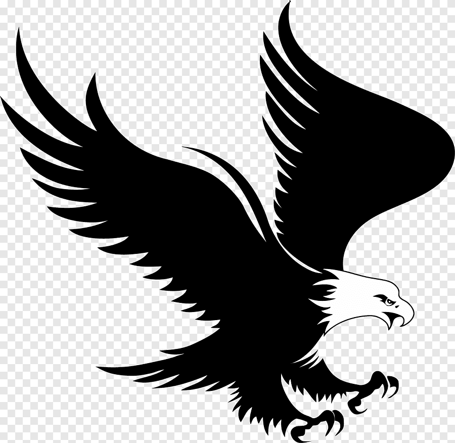 "Белоголовый Орлан". Орел символ. Орел логотип. Орел вектор. Орел изображение символ