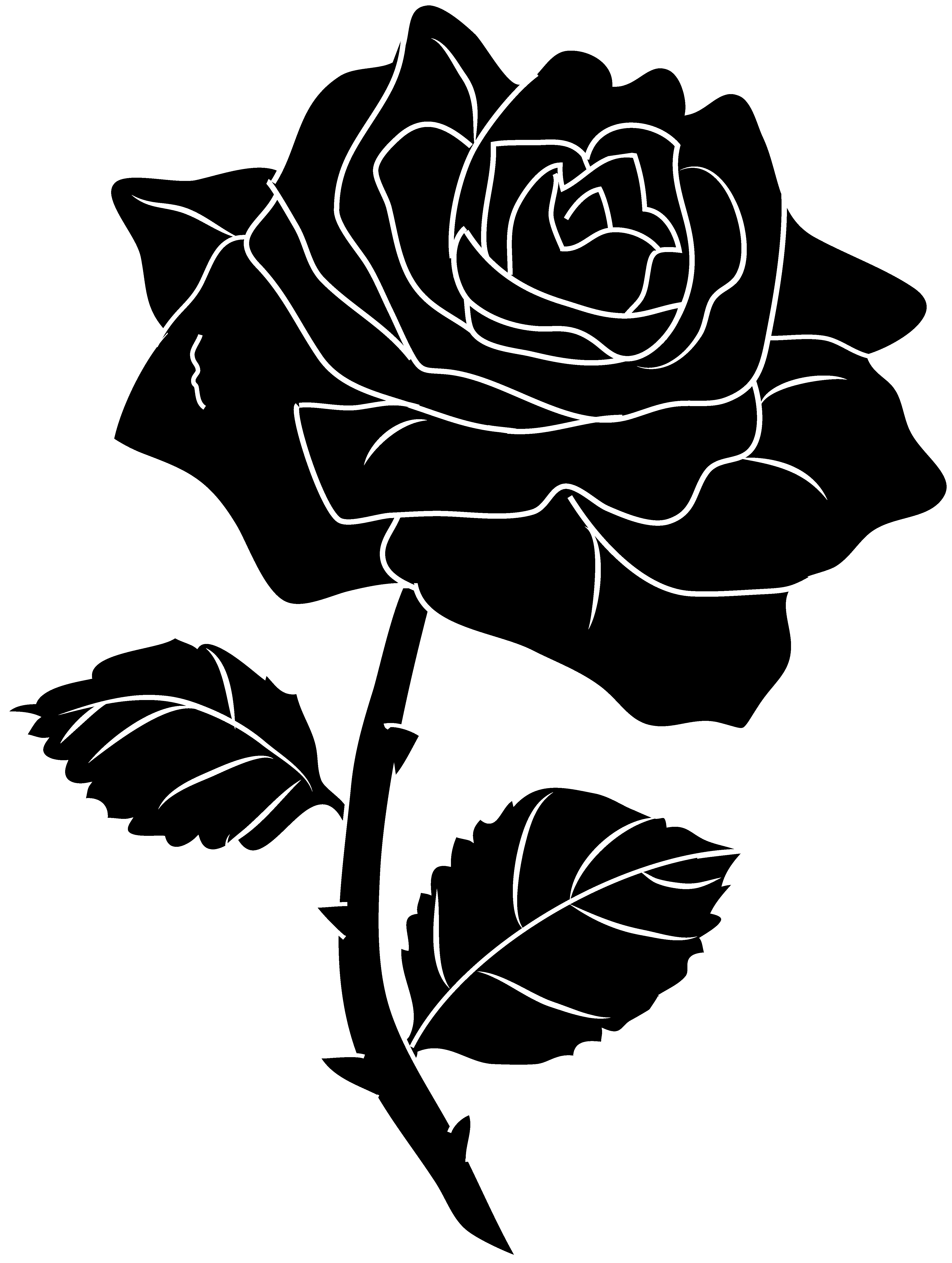 Черно белое изображение png. Черно-белый цветок. Белые цветы на черном.